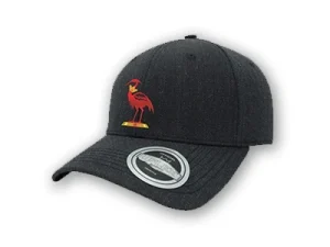 ODU Cap