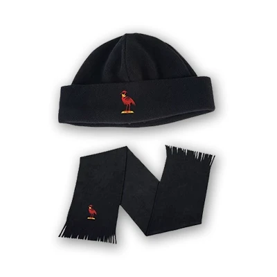 Ladies Glacier Scarf & Beanie Set