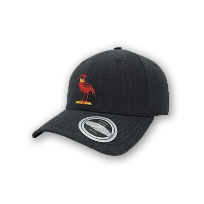 UFlex Pro Style 6 Panel Cap